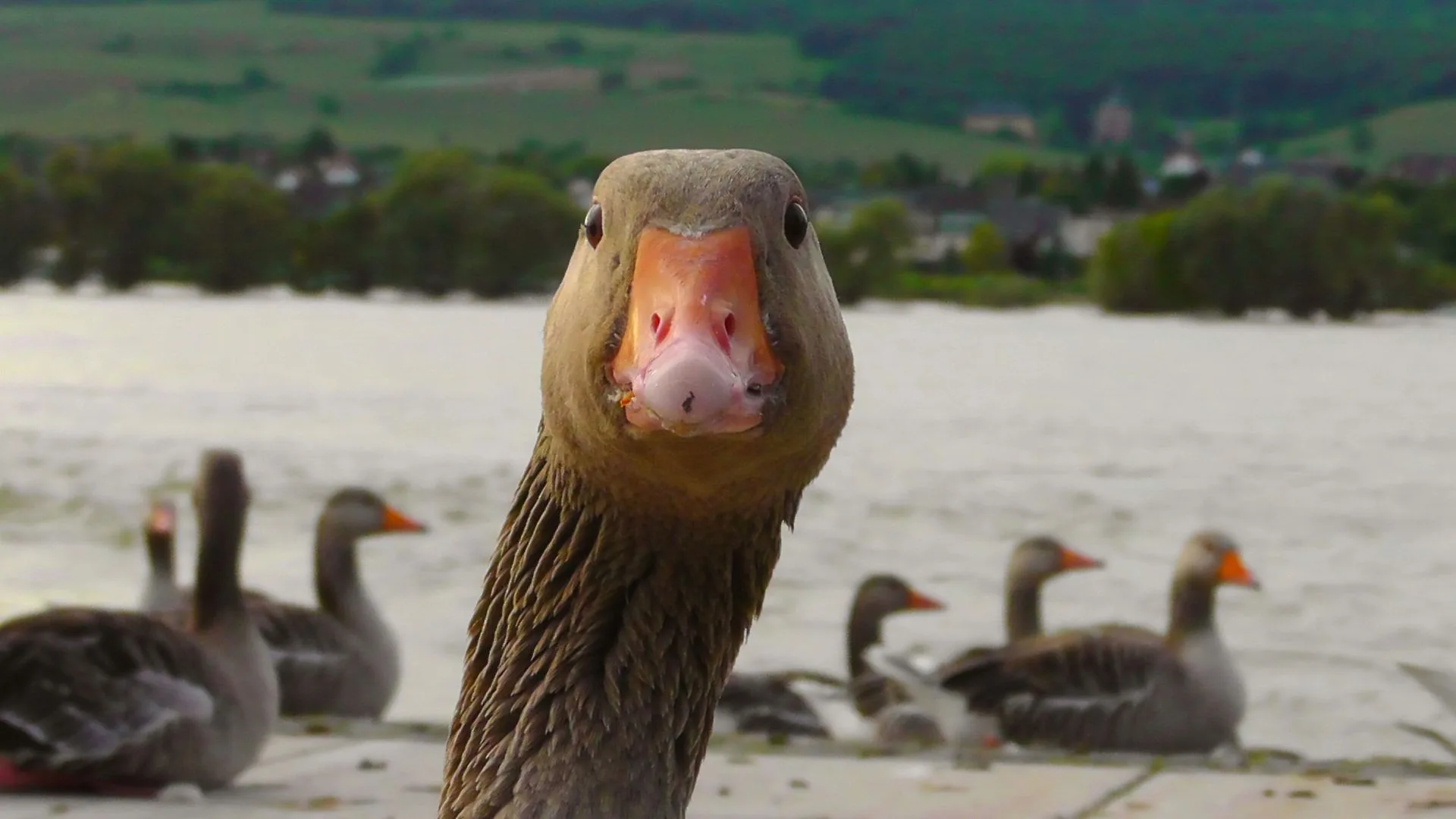 Als Marke bei KIs auftauchen